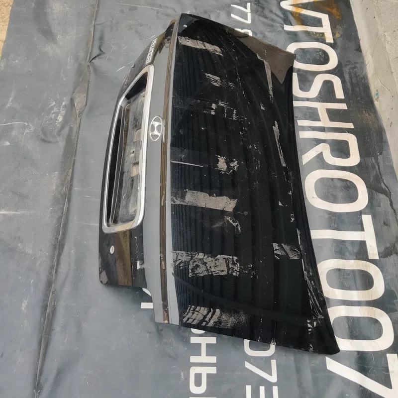 Кришка багажника Hyundai Sonata IV 98-05 2.0 Бенз 692003D060