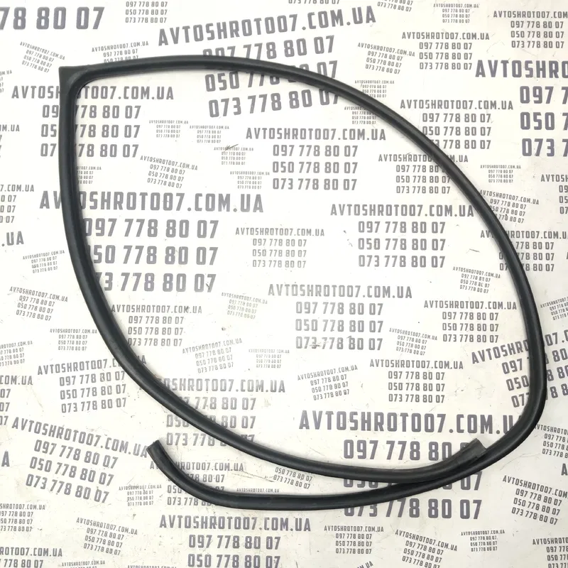 Ущільнювач Hyundai Sonata IV (98-05) 2.0 пер. пр. OEM 040213