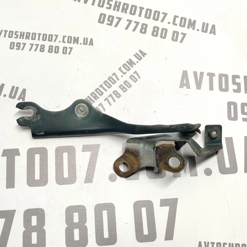 Петля капота Mazda Premacy (99-05) 1.8 Бензин Права