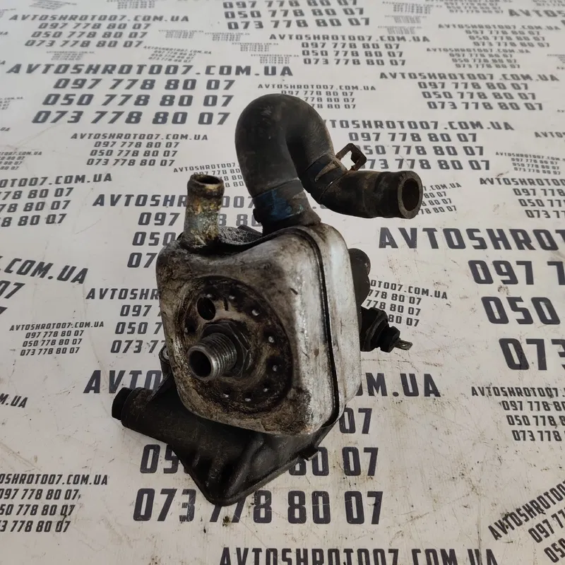 Радіатор масляний Volkswagen Passat B3 (88-93) OEM 68115417