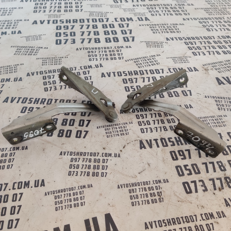 Петля капоту Ford Focus MK1 (98-04) OEM XS4116800AE