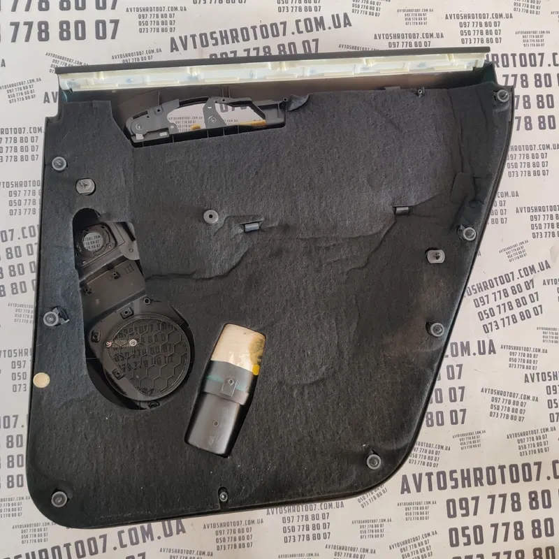 Карта дверна Audi Q7 4L (05-15) 3.6 задня ліва OEM P0110571