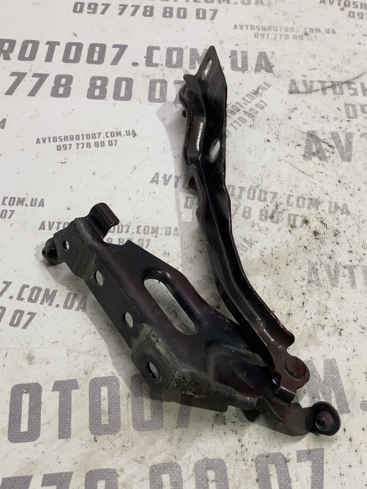 Петля капоту права Ford F-150 (09-14) FL3446800A