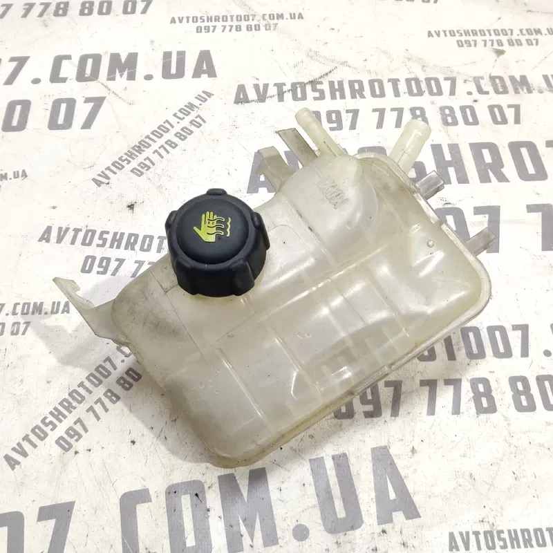 Бачок розшир. Renault Scenic 3 09-16 1.6D OEM 217100005r