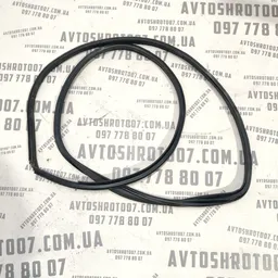Ущільнювач дверей Toyota Auris 06-12 1.6 бенз. задній правий фото 2