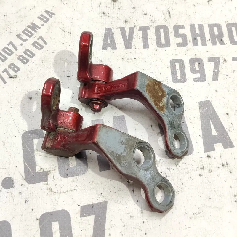 Дверна завіса Ford Focus MK2 (04-11) 1.6D задня ліва
