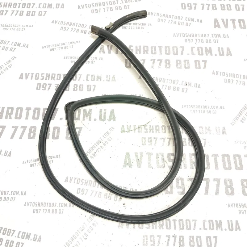 Ущільнювач дверей Toyota Avensis T25 03-08 2.0D перед лівий