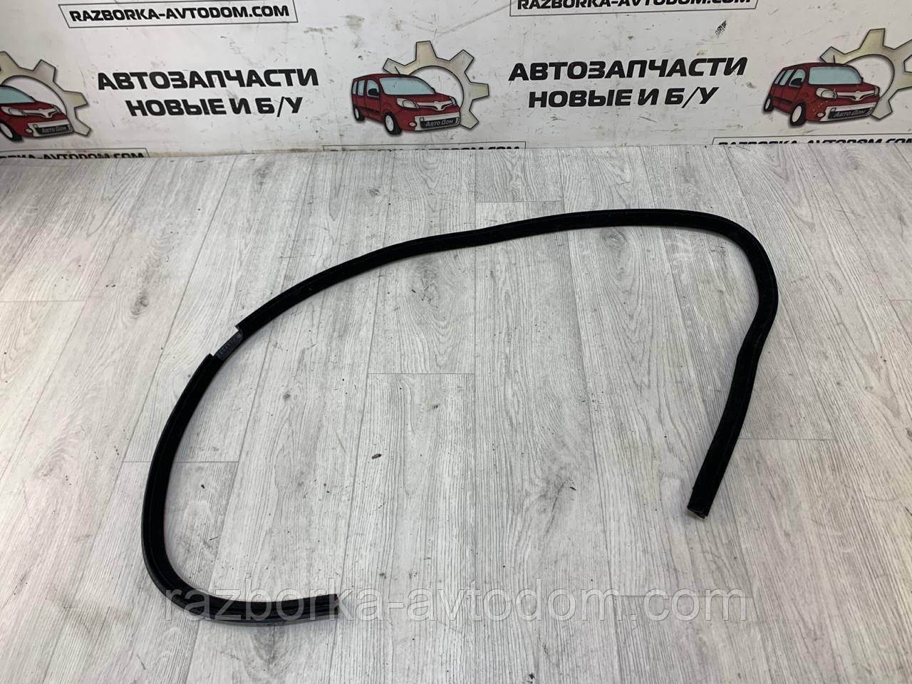 Ущільнювач дверей задньої правої Skoda Superb (02-08) OE:3B0837440G B41 фото 2