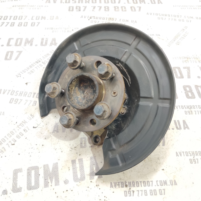 Цапфа задня ліва Opel Astra G (98-09) 2.0D