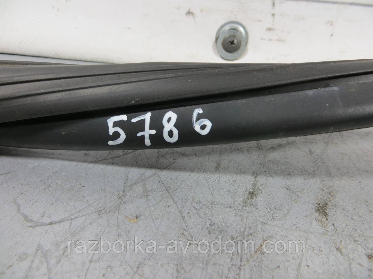 Ущільнювальна гумка скла задніх правих дверей (хетчбек) OPEL VECTRA B (1995-2003) ОЕ: 90464296